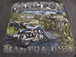 Mantua Ohio Carlton Harley Davidson 2XL Shirt Born to be Free Grey Double Sided - £21.88 GBP