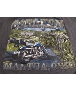 Mantua Ohio Carlton Harley Davidson 2XL Shirt Born to be Free Grey Doubl... - £21.81 GBP