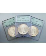 Lot of 3 PCGS Peace Dollars 1923-1925 OGH MS64 Great Lot! - $643.49