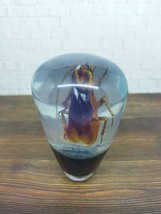 Underwater Real Cockroaches Gear Shift Knob Acrylic Resin_c56 - $93.50