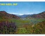 Kaweah River Below Three Rivers California CA UNP Chrome Postcard S23 - $3.91