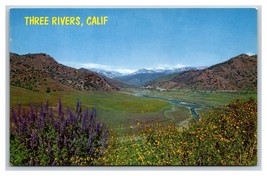 Kaweah River Below Three Rivers California CA UNP Chrome Postcard S23 - £3.06 GBP