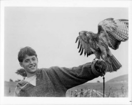 Ladyhawke original 8x10 inch photo Matthew Broderick with hawk on hand - £16.03 GBP