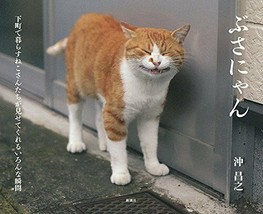 Busa Nyan Japanese Ugly Cat Photo Collection Book - £18.82 GBP