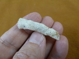 r365-13) 1-1/2&quot; Fulgurite lightning strike beach sand glass Georgia fulgurites - £12.15 GBP