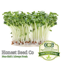 Fresh Bulk Radish Microgreen Seeds Heirloom Seeds For Sprouting Micro Greens Art - £7.15 GBP