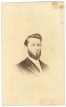 CIRCA 1870&#39;S CDV Handsome Man With Full Beard in Suit H.W.  Immke Princeton, IL - £9.66 GBP