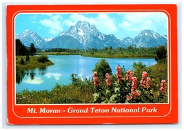 Mount Moran Oxbow Bend Grand Teton National Park WY Postcard - $7.00