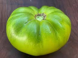 New Fresh 50 Seeds Cherokee Green Tomato Juicy Tomatoe Vegetable Garden - $7.00