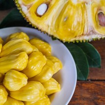 6 Jackfruit Seeds Gardening Usa Seller - £10.19 GBP