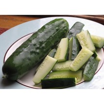 USA SELLER General Lee Cucumber Seeds Fast Shipping - £7.57 GBP