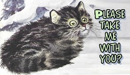 Please Take Me Home With You?  Kitten Refrigerator Magnet #55 - £6.38 GBP