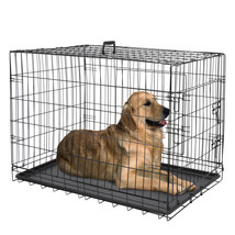 36&quot; Durable Dog Crate Kennel Folding Pet Cage 2 Door With Tray Indoor Do... - £67.05 GBP