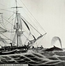 American Whaler At Sea Stowing 1926 Nautical Antique Print Whale Hunting... - $35.14 CAD