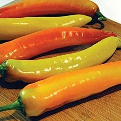 Hot Sunset F1 Hybrid Hot Pepper Seeds (25+ Seeds) - $3.98
