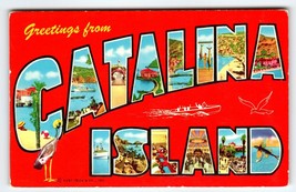 Greetings From Catalina Island California Large Letter Postcard Curt Teich - £7.28 GBP