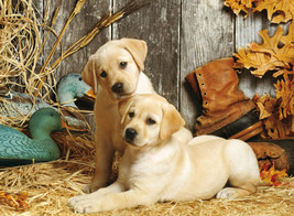 Hunting Dogs Puppies Golden Labrador Ceramic Tile Mural Backsplash Medallion - £38.75 GBP+