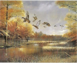 Vintage 8 x 10 Never Framed Print by artist Ruane Manning &quot;Ducks Break of Dawn&quot; - £5.51 GBP