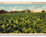 Tabacco Campo IN Vecchio Kentucky Agricolo Orizzontale Unp Non Usato Lino - $4.05