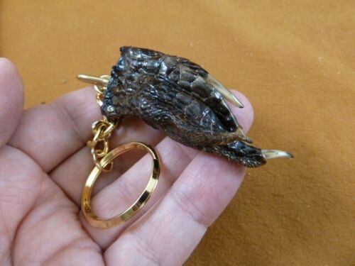 Primary image for G120-125) 2-1/4" long Gator FOOT Keychain PAW ALLIGATOR TAXIDERMY med claw weird