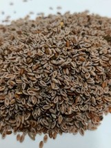 Psyllium seeds 150 gram بذور القاطونة - $15.00