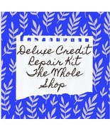 Deluxe Credit Repair Kit - Professional Debt Removal - Do it Yourself Ki... - £124.20 GBP