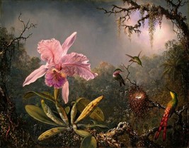 Painting Orchid and Hummingbirds by M. Heade. Wall Art Print Reproducti  Giclee - £6.75 GBP+