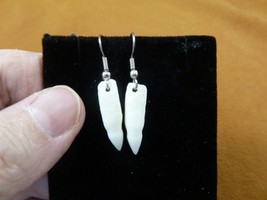 (g183-49) 1-1/8&quot; Alligator gator TOOTH Teeth wire Earrings I love FL gators - €18,08 EUR