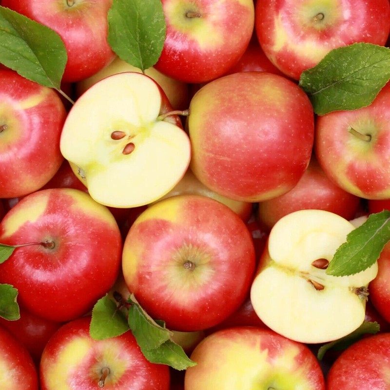 KKG 25 Red Delicious Apple Seeds Easy Grow - $12.76