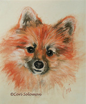Pomeranian Dog Art Pastel Drawing Solomon - $1,824.42 MXN