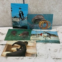 Collectible Postcard Lot Of 5 Vintage Ocean World Ft Lauderdale Dolphins - £9.49 GBP