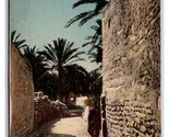 Une Rue Street View dans l&#39;Oasis Tunisia UNP DB Postcard Q25 - $3.56