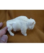 (BUFF-W18) Medium buffalo shed moose ANTLER figurine Bali detailed figurine - $220.65