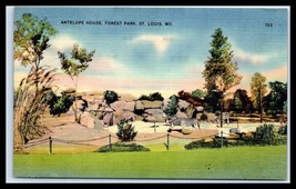 MISSOURI Postcard - St Louis, Forest Park, Antelope House G13  - £3.09 GBP