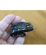 g630-247) Extra SMALL 2&quot; Gator FOOT PAW ALLIGATOR TAXIDERMY feet claw ga... - $10.99