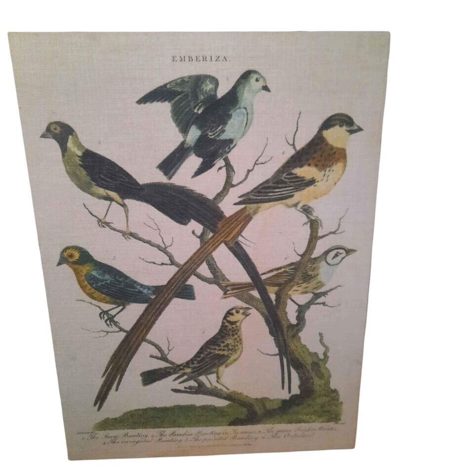Fine Art Bird Tapestry Large George Edward's British Artists Rendition - $116.88