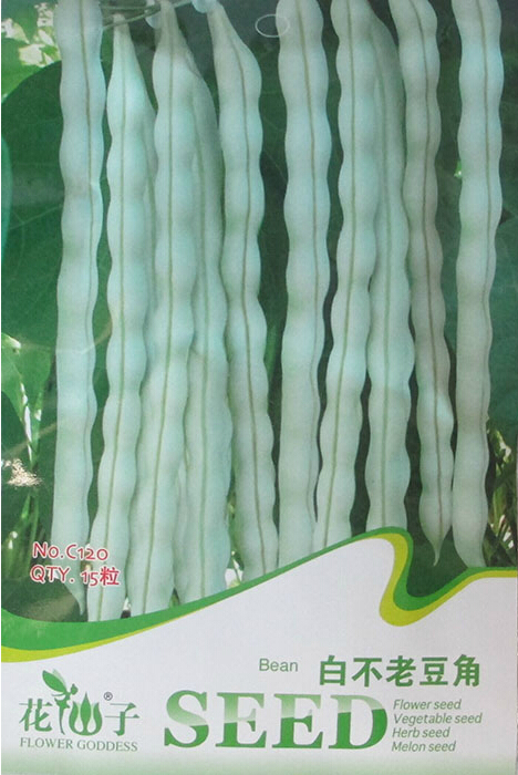15 Seeds White Bean Organic Vegetable Bean Seed 15 Seeds - $7.99