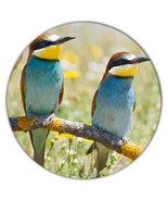 Bee Eater Bird : Gift Coaster Animal Nature Colorful Ecology Pet Birdwat... - $93.09 MXN