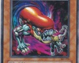 M) Yugioh - Konami - Yu-Gi-Uh! - D.D. Crazy Beast - 302-019 - Japanese Card - $1.97