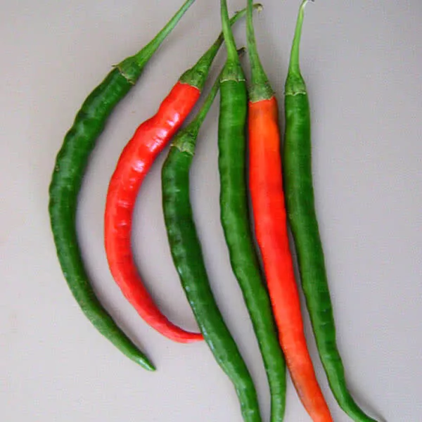 25 Seeds Kung Pao Pepper Garden Vegetables Planting New Fresh Seeds USA - £5.92 GBP