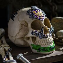 Ebros Knights of The Round Table King Arthur Skulls Sir Gawain Skull Fig... - €21,60 EUR