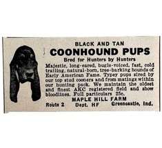 Black And Tan Coonhound 1953 Advertisement Hunting Dog Breeder Indiana D... - $28.02 CAD