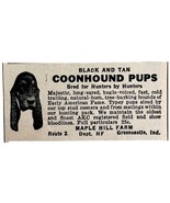 Black And Tan Coonhound 1953 Advertisement Hunting Dog Breeder Indiana DWEE10 - $19.99
