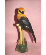 Beautiful Big Black, Orange and Yellow Bird on Tree Branch, Collectible ... - $39.99