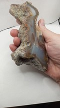 Agate in its natural form - Big Diggins, New Mexico Specimen - $43.85