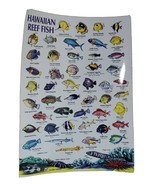 Hawaiian Reef Fish Color Laminated Sheet 1 Page Most Common Fishes Seen ... - £15.72 GBP