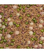 SEPTH Salad Sprouting 5 Seed Mix C25 - $12.37