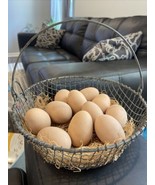 Wire Egg Basket With 11 Artificial Eggs - €25,87 EUR