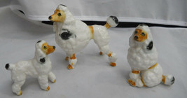 Vintage Standard Poodle Dogs 3 Japan Bone China Miniature RARE- Show Original... - £30.35 GBP