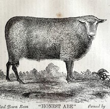 Honest Abe Oxford Down Ram 1863 Victorian Agriculture Animals Art DWZ4A - £39.27 GBP